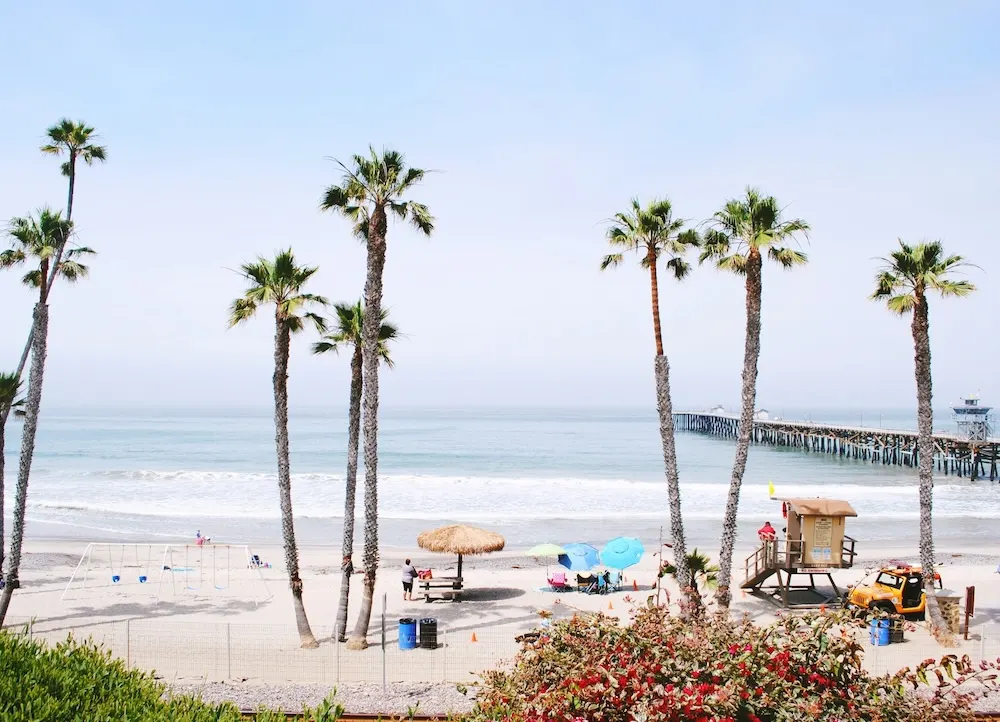 Palm trees on a Southern California beach with a pier and lifeguard tower under a clear sky